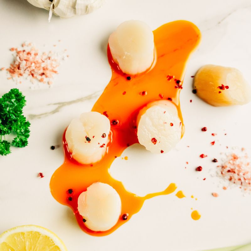 Kammusslor